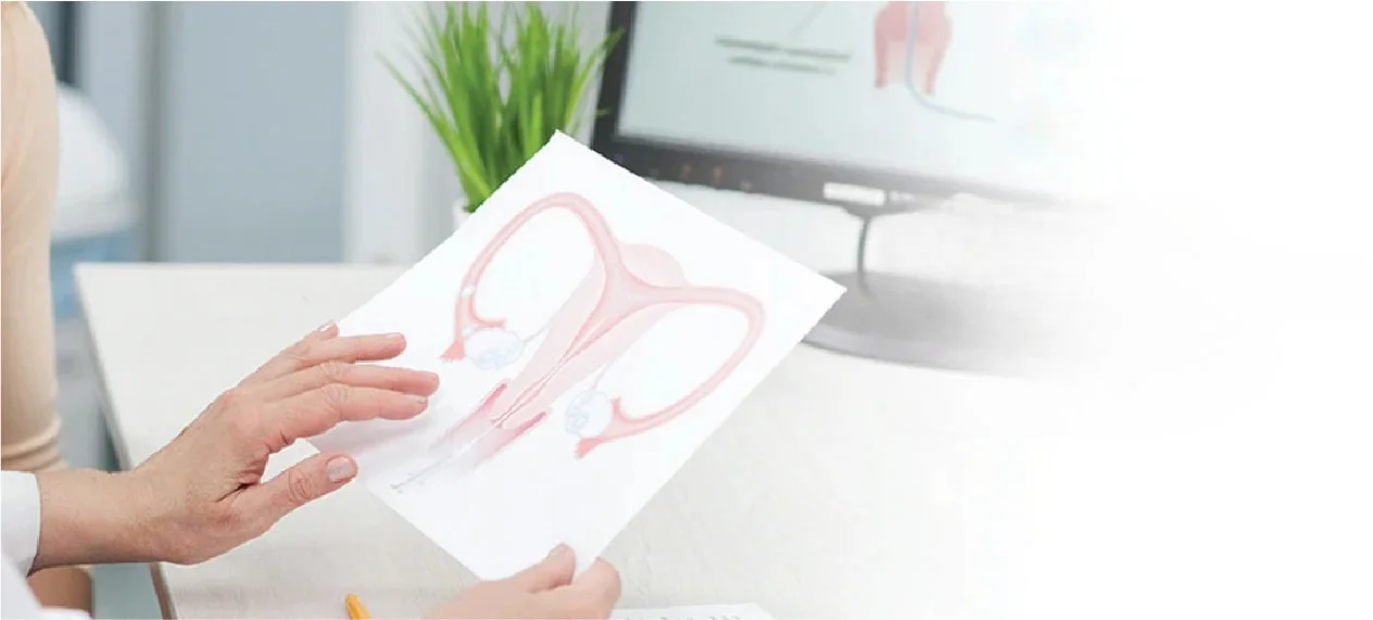 Common And Uncommon Types Of Gynaecological Cancers?